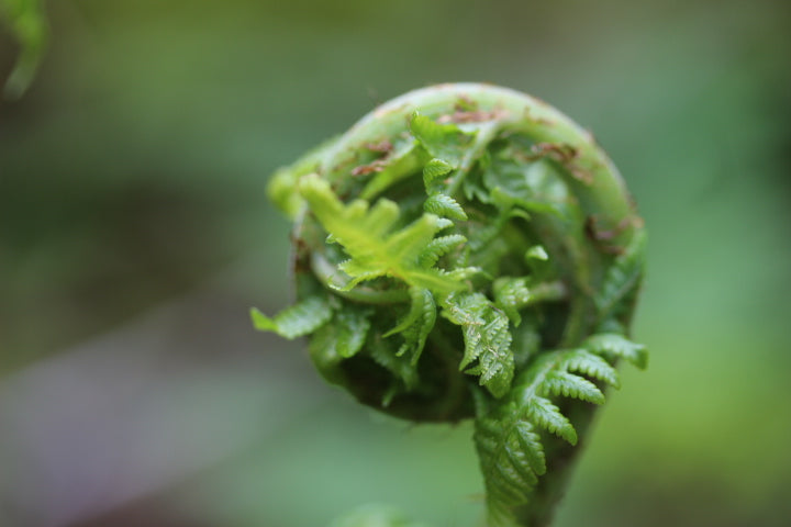 Finally an updated website!