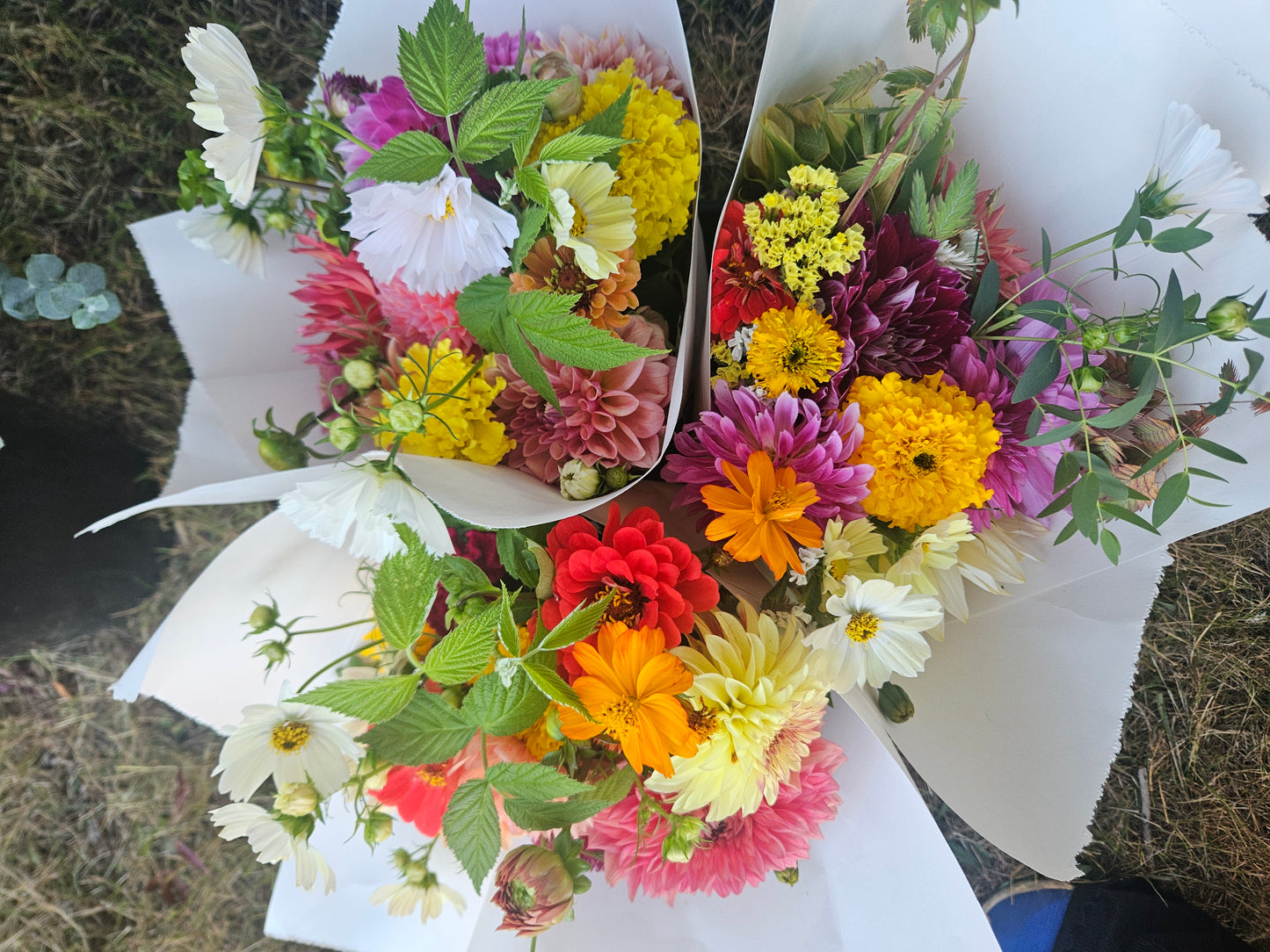 Seasonal Bouquet Subscriptions