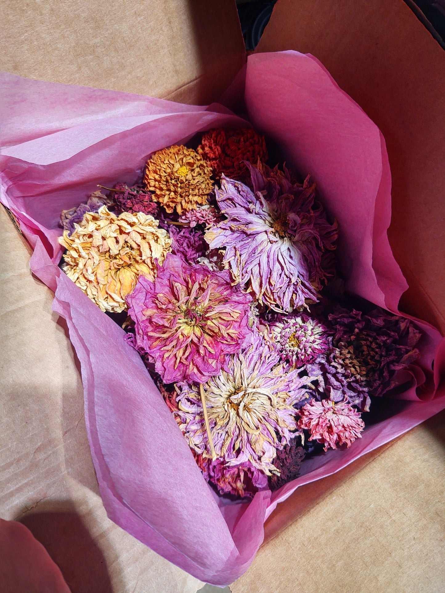 6 oz Mixed Dried Flower Heads
