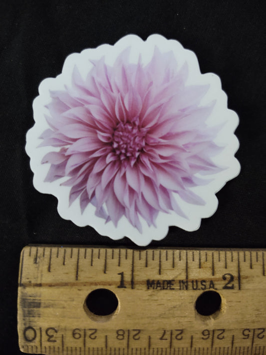 Cafe Au Lait Dahlia 2'' Vinyl Sticker