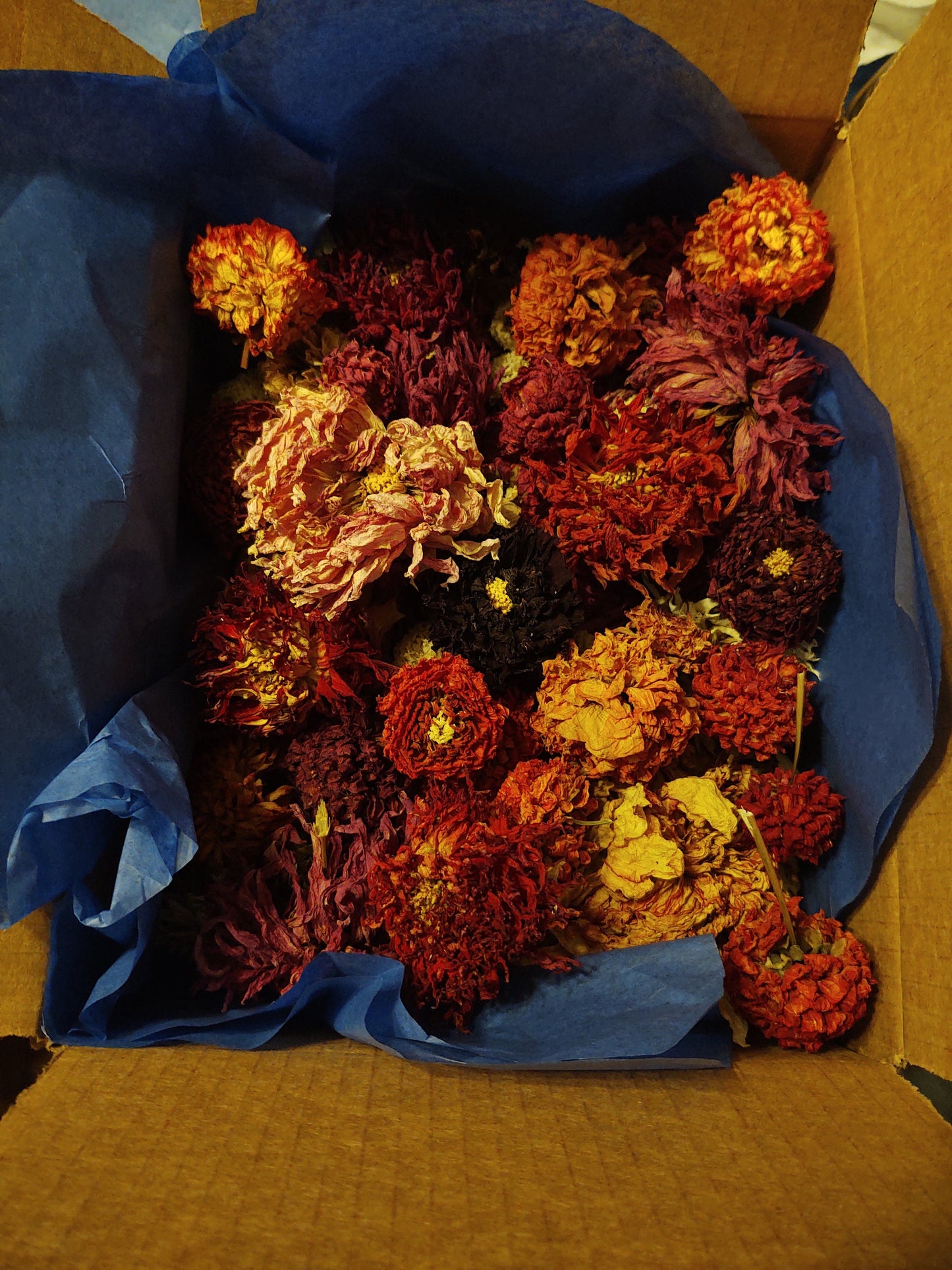 6 oz Mixed Dried Flower Heads