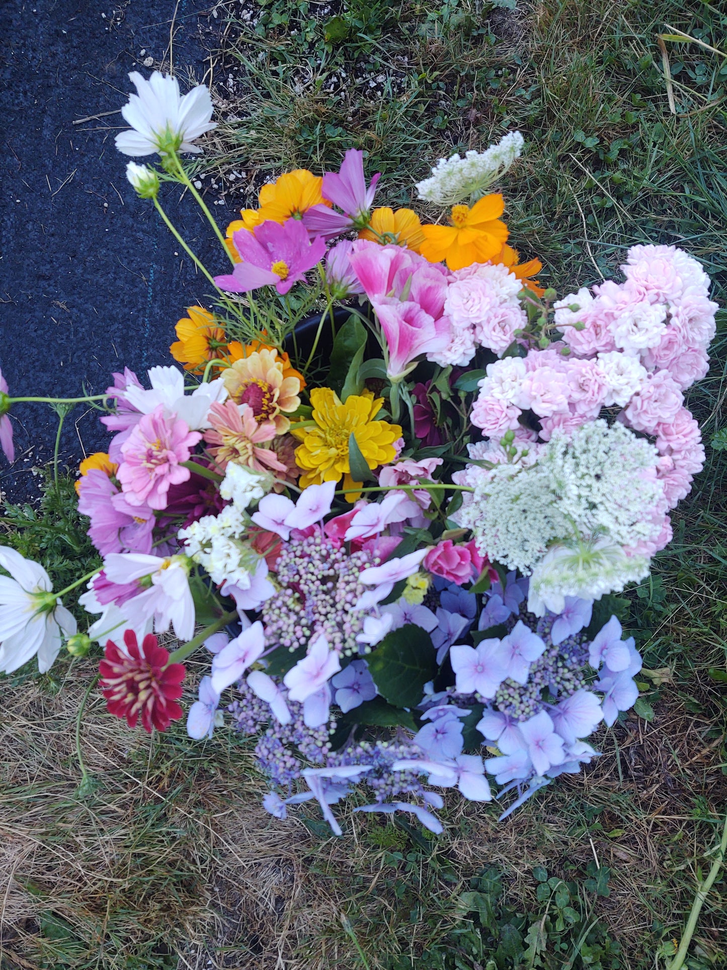 50 Stem Growers Choice Bucket