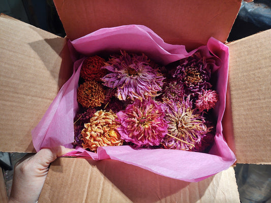 6 oz Mixed Dried Flower Heads