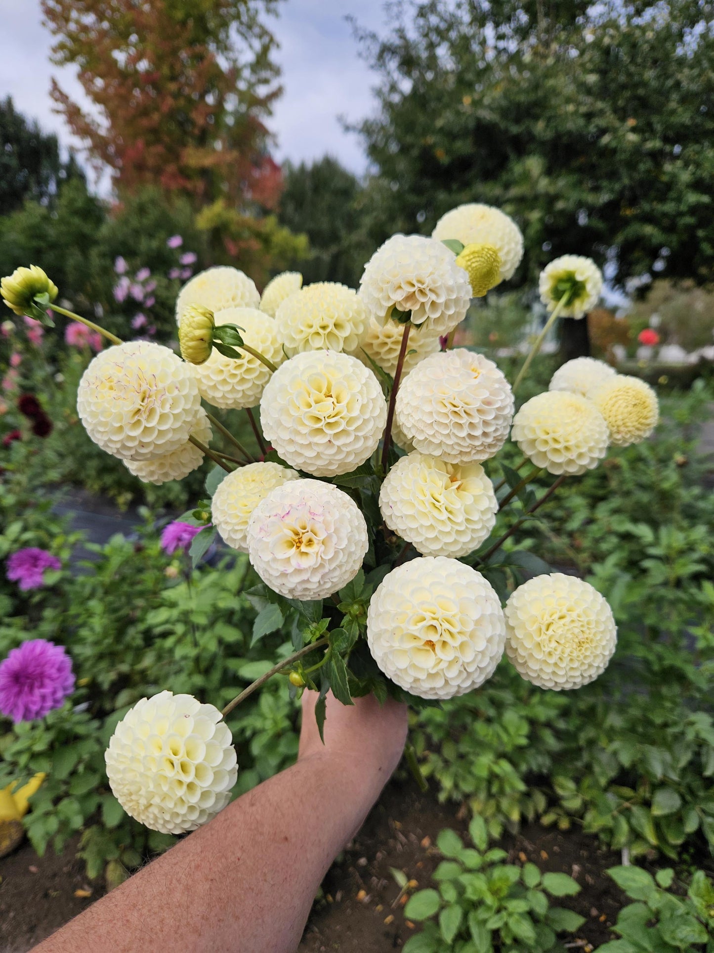 Small World